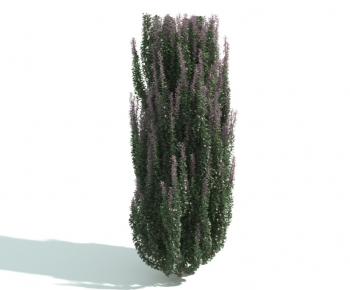 Modern Shrubbery-ID:510257675