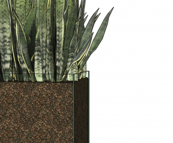 Modern Potted Green Plant-ID:633406577