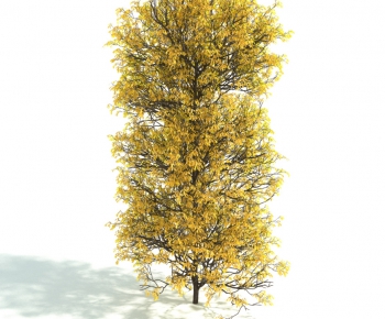 Modern Tree-ID:584103849