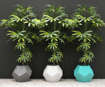 Modern Potted Green Plant-ID:943528618