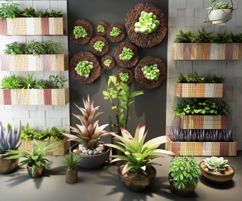 Modern Potted Green Plant-ID:641476717