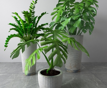 Modern Potted Green Plant-ID:319424427