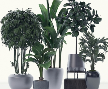 Modern Potted Green Plant-ID:213792589