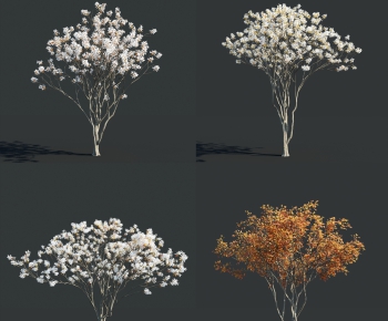 Modern Tree-ID:251231741