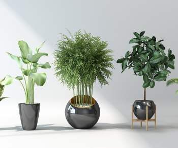 Modern Potted Green Plant-ID:578999257