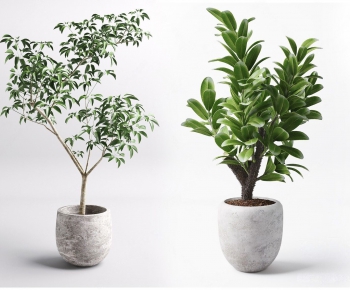 Modern Potted Green Plant-ID:881494145