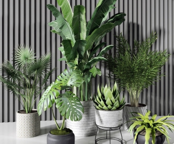 Modern Potted Green Plant-ID:406801142