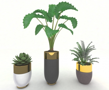 Modern Plant-ID:112242914