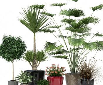 Modern Potted Green Plant-ID:632511534