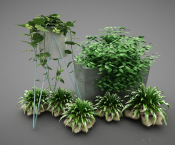 Modern Potted Green Plant-ID:428478757