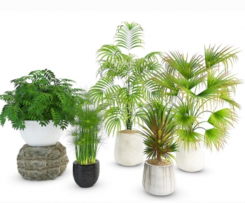 Modern Potted Green Plant-ID:471248123