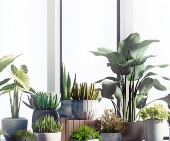 Modern Potted Green Plant-ID:479339528