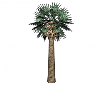 Modern Tree-ID:145587161