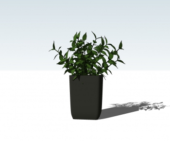 Modern Potted Green Plant-ID:299282442