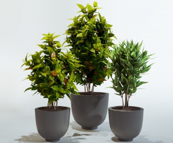 Modern Potted Green Plant-ID:918560527