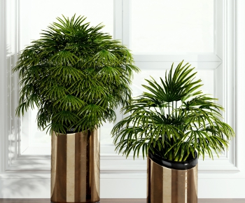 Modern Potted Green Plant-ID:660546171