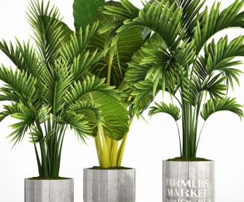 Modern Potted Green Plant-ID:885738552