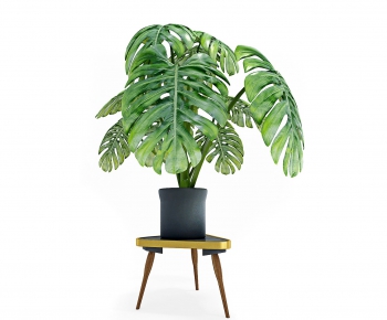 Modern Potted Green Plant-ID:392270344