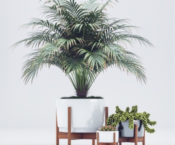 Modern Potted Green Plant-ID:600158554