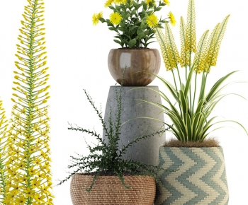 Modern Potted Green Plant-ID:127104917