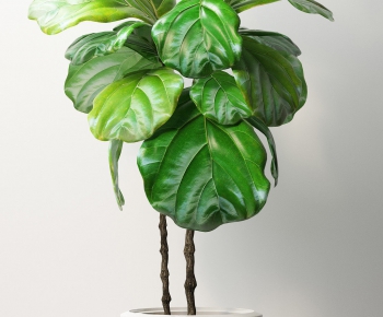 Modern Potted Green Plant-ID:212459438
