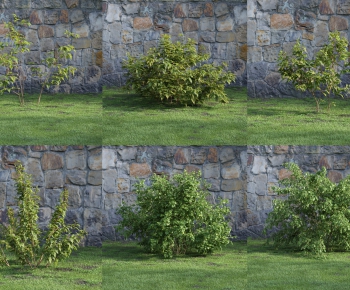 Modern Shrubbery-ID:528545169