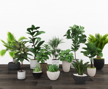 Modern Potted Green Plant-ID:557880149