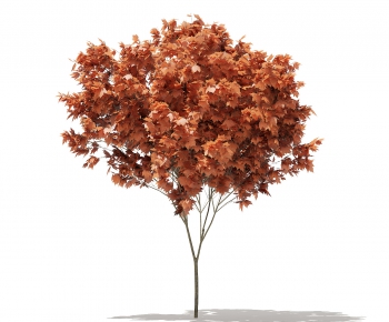 Modern Tree-ID:808815822