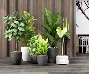 Modern Potted Green Plant-ID:903716422