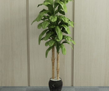 Modern Potted Green Plant-ID:228236148