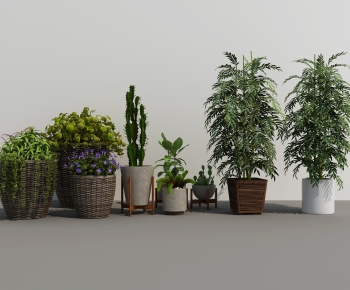 Modern Potted Green Plant-ID:219861649