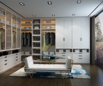 Modern Clothes Storage Area-ID:351577213