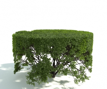 Modern Shrubbery-ID:634457544