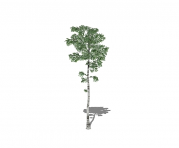 Modern Tree-ID:175202886