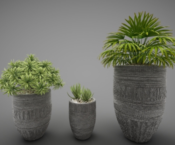 Modern Potted Green Plant-ID:575726232