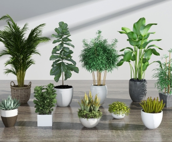 Modern Potted Green Plant-ID:272051574