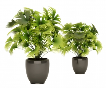 Modern Potted Green Plant-ID:813336915