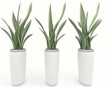 Modern Potted Green Plant-ID:348183321