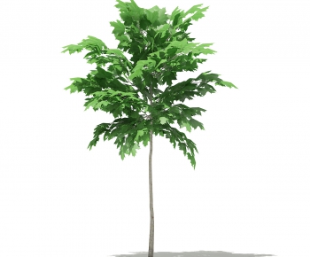 Modern Tree-ID:902276986