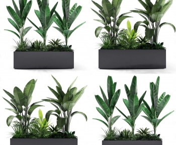 Modern Potted Green Plant-ID:594382646