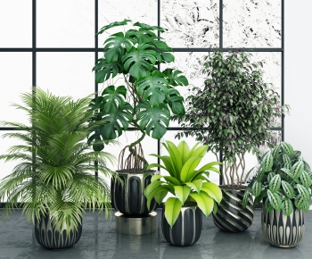 Modern Potted Green Plant-ID:425382959