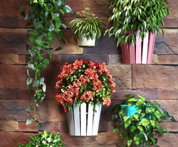 Modern Potted Green Plant-ID:384952178