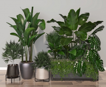 Modern Potted Green Plant-ID:895988988