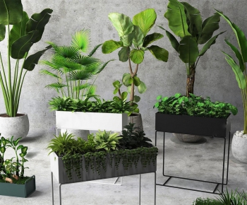 Modern Potted Green Plant-ID:112286554