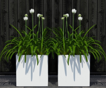 Modern Potted Green Plant-ID:417495516