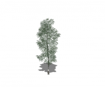 Modern Tree-ID:483895332