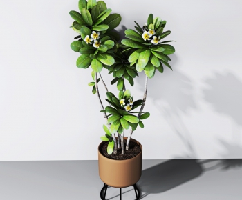 Modern Potted Green Plant-ID:322237242