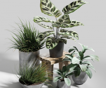 Modern Potted Green Plant-ID:749339528