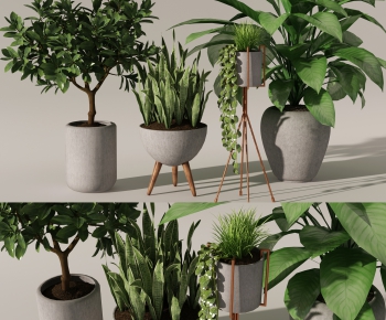 Modern Potted Green Plant-ID:936747818