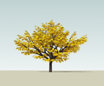 Modern Tree-ID:914119487